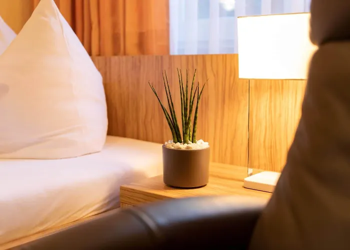 Zum Steinhof Guest house